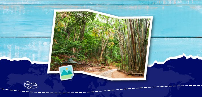 Explore Sri Lanka in 3 Days