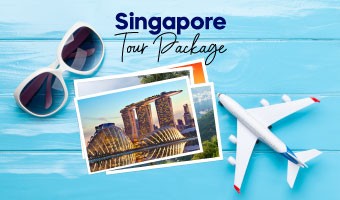 Singapore Experience