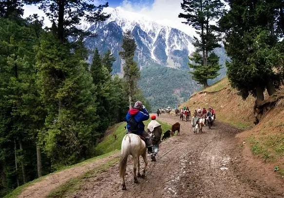 Explore Kashmir in 4 Days