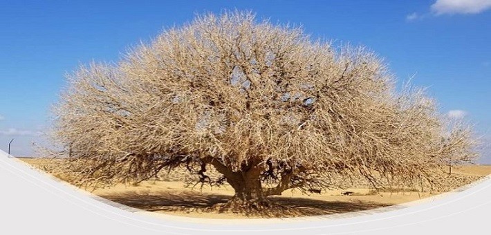 Jordan Islamic Tour in 9 Days