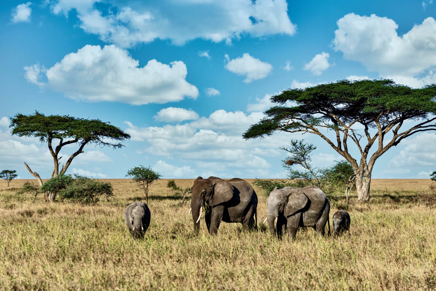 Explore Kenya in 6 Days